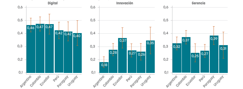capacidades digitales e innovación paraguay