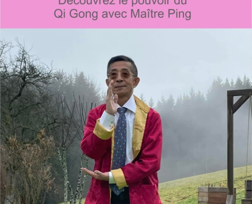 Optimización digital y marketing para Master Ping