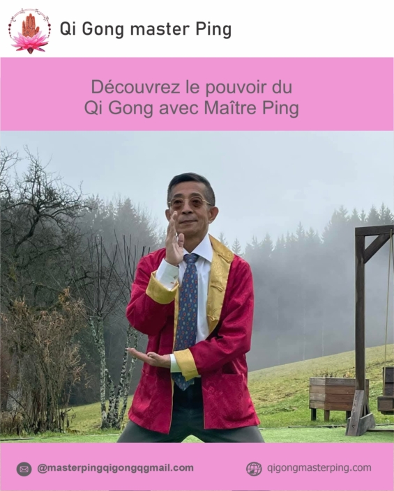 Optimización digital y marketing para Master Ping