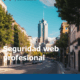 Seguridad web profesional