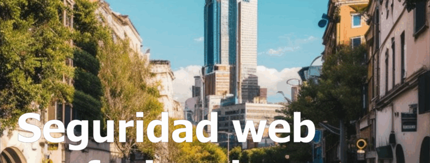 Seguridad web profesional