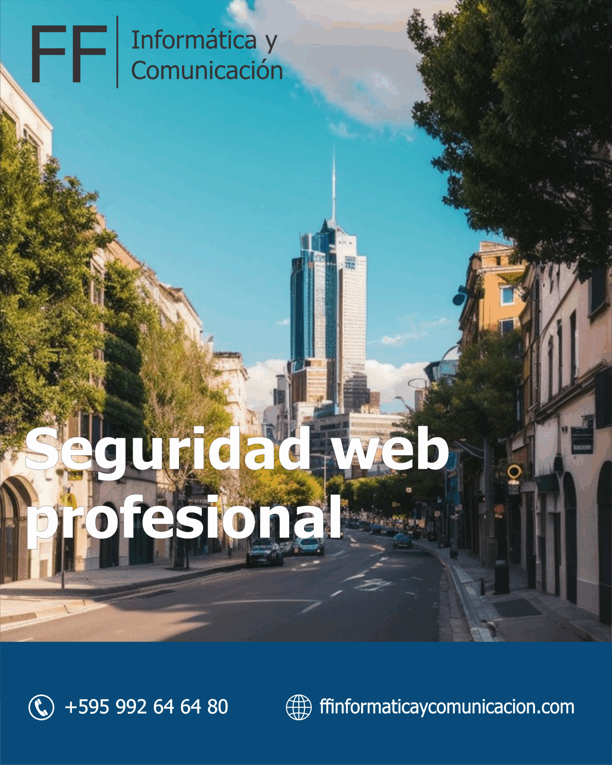 Seguridad web profesional